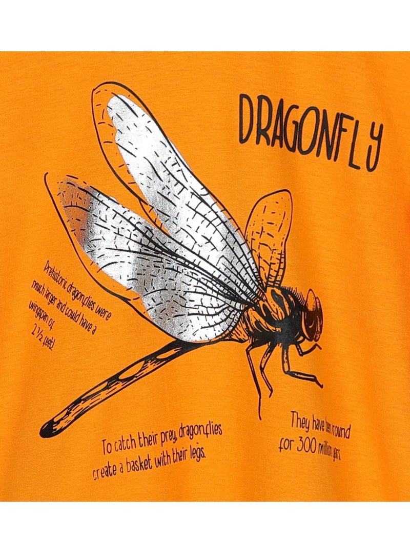 AIKO - Boys Stylish Dragonfly T-Shirt 3-4Years - Image 2
