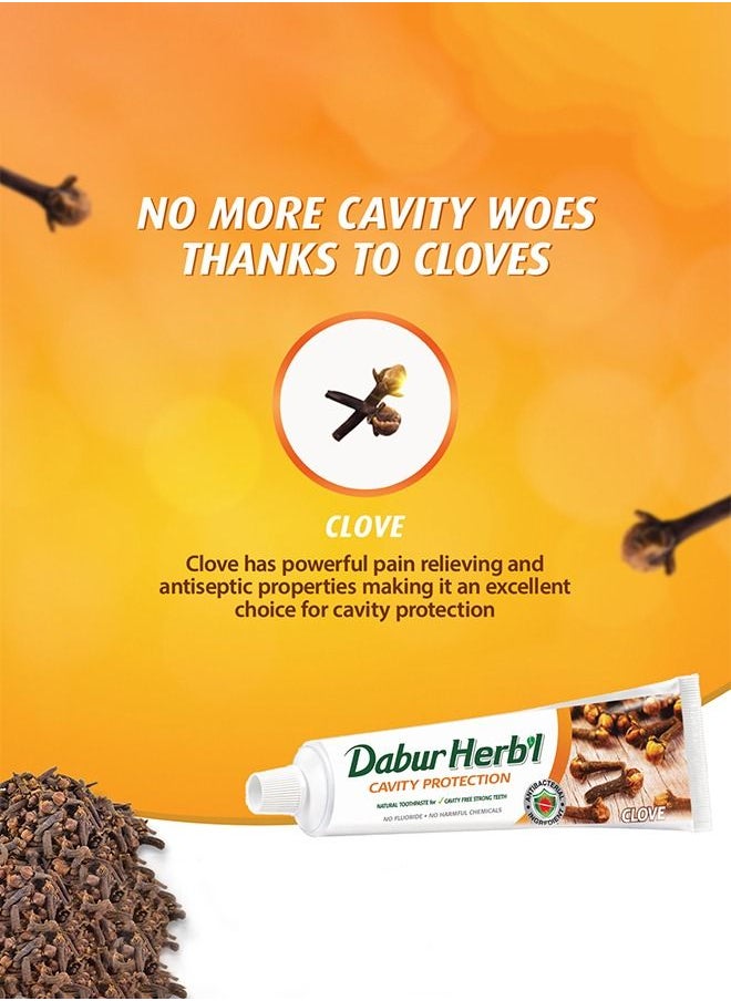 Dabur - Dabur Herbal Cavity Protect Clove Toothpaste - Mini Travel Size Toothpaste,20g - Image 1