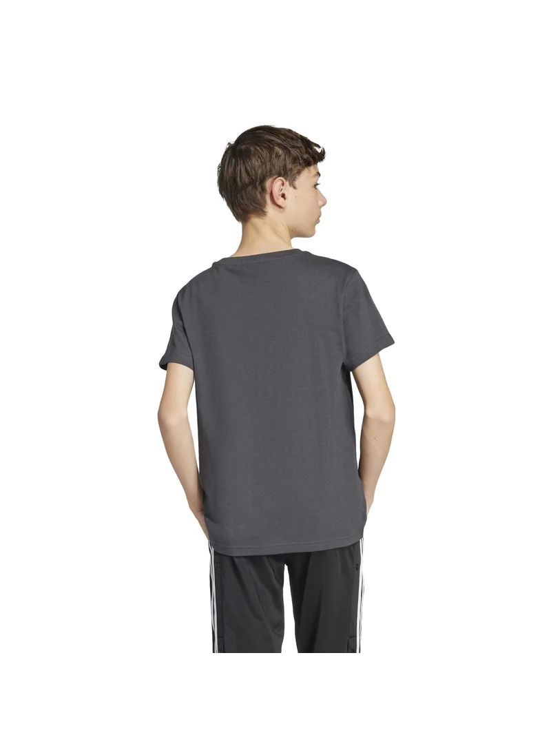 Adidas adidas GFX TEE Grey Originals Kids T-SHIRTS