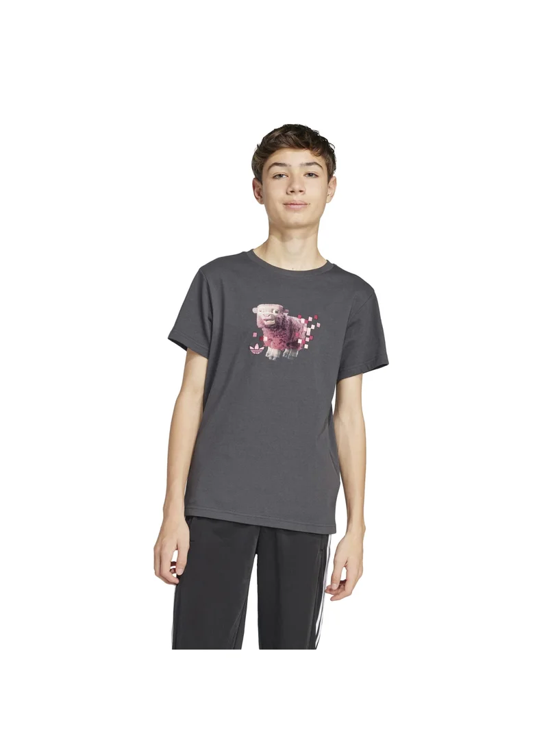 Adidas adidas GFX TEE Grey Originals Kids T-SHIRTS