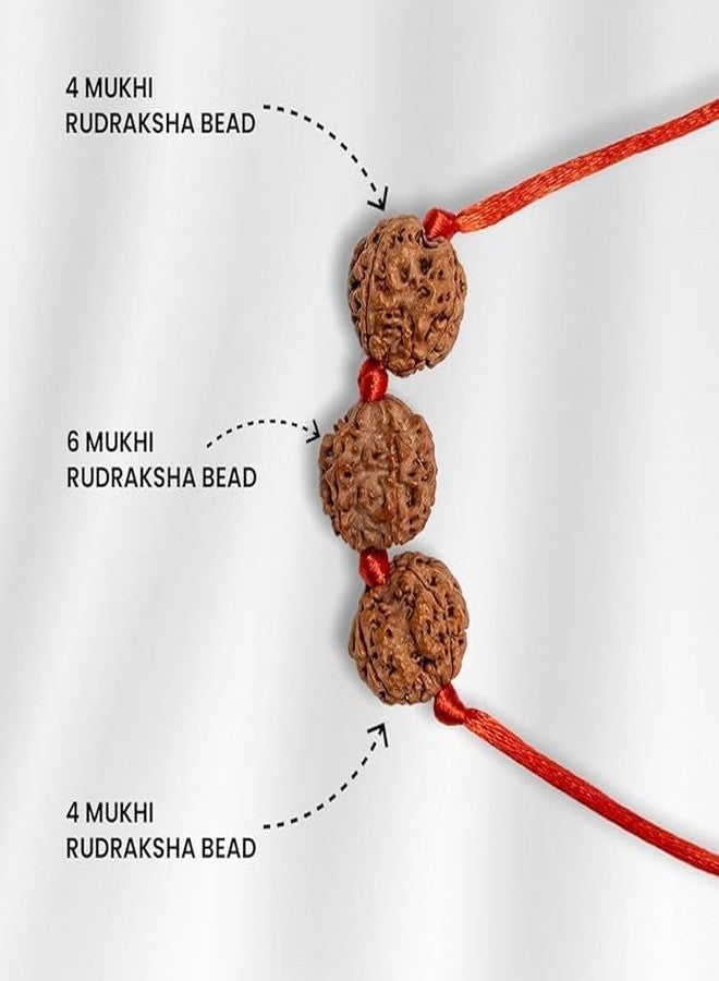 DEVAMA THE DIVINE Traditional Rudraksha Mala Necklace, 4 & 6 Mukhi, Orange-Brown, 80-85 cm - Image 3
