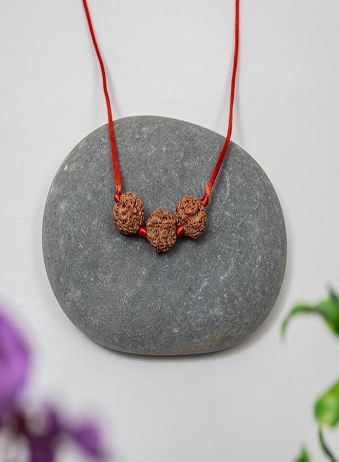 DEVAMA THE DIVINE Traditional Rudraksha Mala Necklace, 4 & 6 Mukhi, Orange-Brown, 80-85 cm - Image 2
