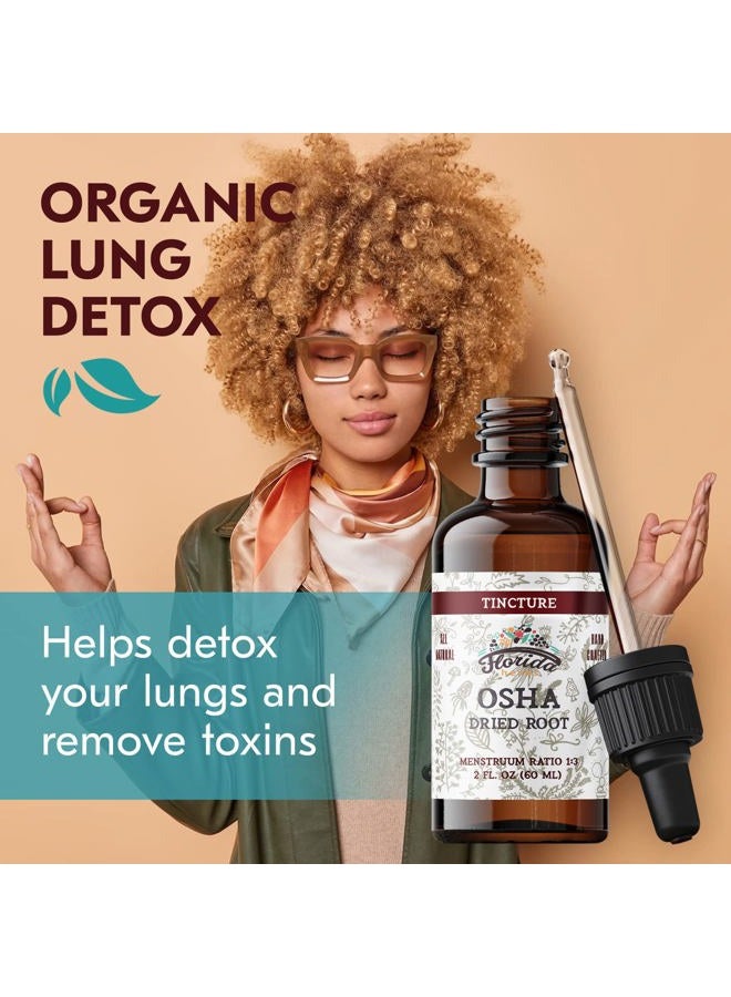 FLORIDA HERBS OSHA Root Liquid Extract for Respiratory Support, Organic OSHA Tincture Natural Lung Detox 2 Fl Oz - Image 3