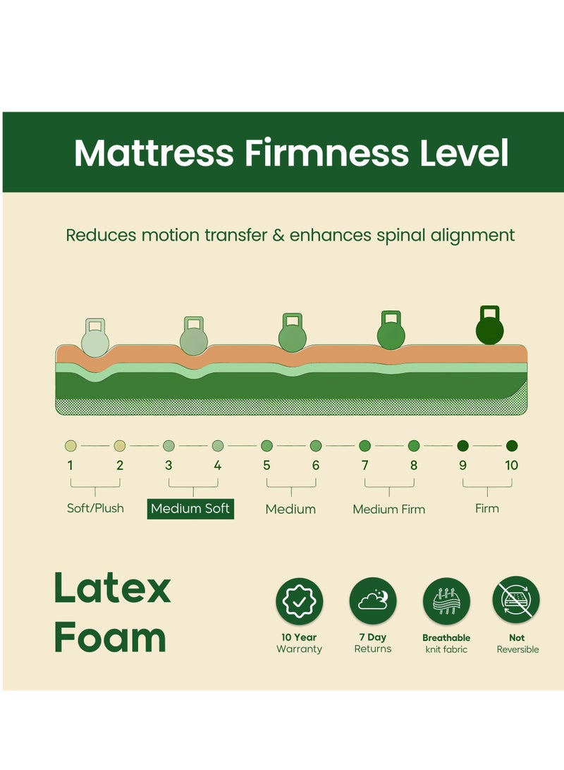 EASELIVING Latex Foam Mattress - 90 x 190 x 18 cm | Medium Firm Spring-Free Mattress with Adaptive Latex Foam | High-Density Base, Breathable Zipper Cover | Non-Flip Tight Top - Image 4