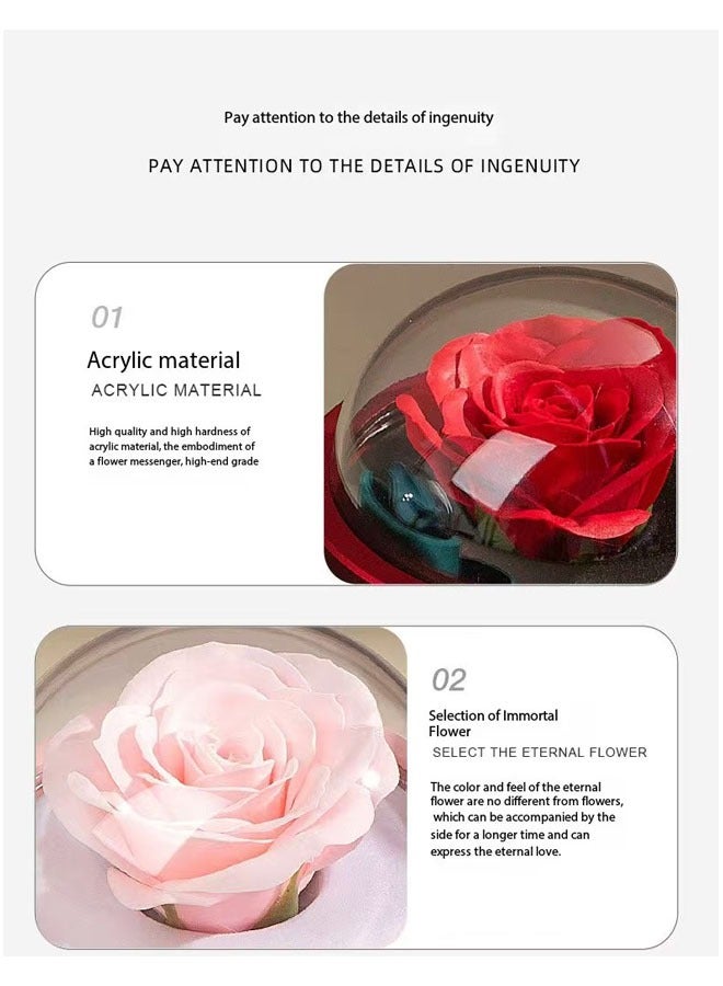 Acrylic Spherical Double-open Gift Box With Bowknot - Image 4