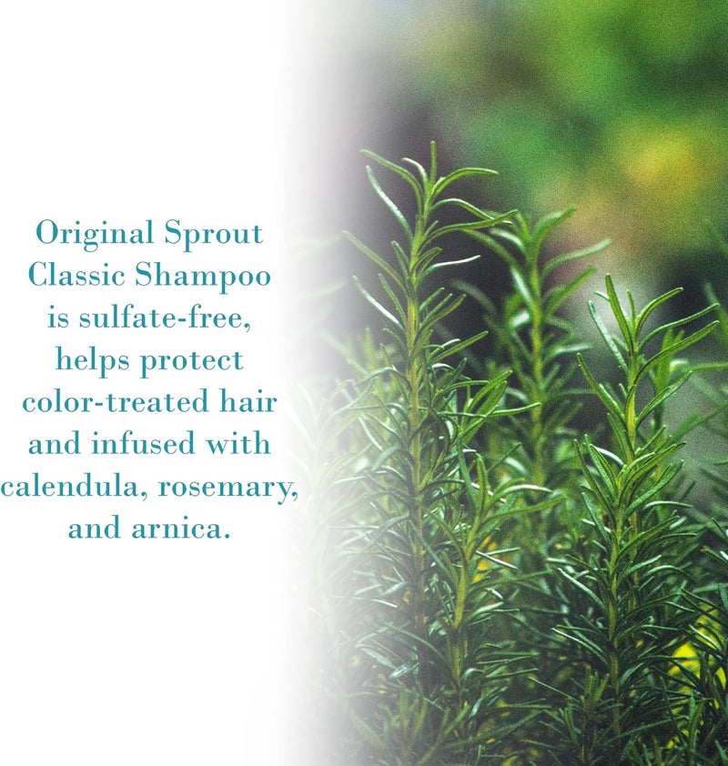 Original Sprout Sulphate Free Classic Shampoo - 946 ml for All Hair Types - Image 3