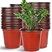 Augshy Augshy 110 Pcs 6" Plastic Plants Nursery Pot,Seed Starting Pots  - Image 2