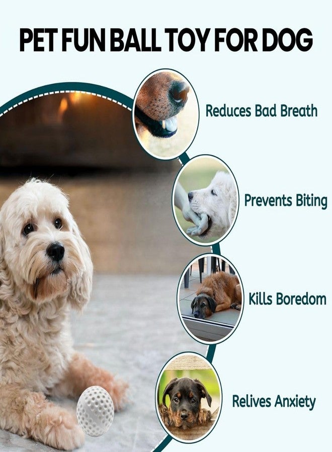 PET FUN لعبة مضغ ذات ملمس مميز للكلاب من بيت فن | لعبة أسنان مطاطية 8 سم | آمنة للسلالات الصغيرة والمتوسطة والكبيرة (أبيض) (قد يختلف اللون) - Image 4