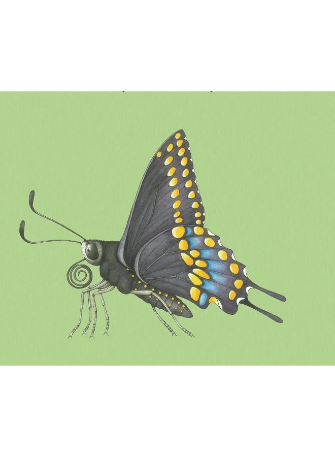 Build-a-Bug - Image 3