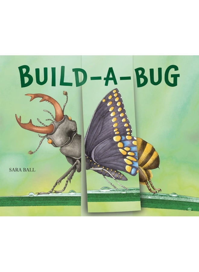 Build-a-Bug - Image 1