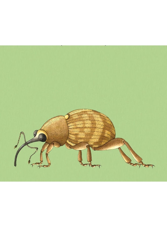 Build-a-Bug - Image 2