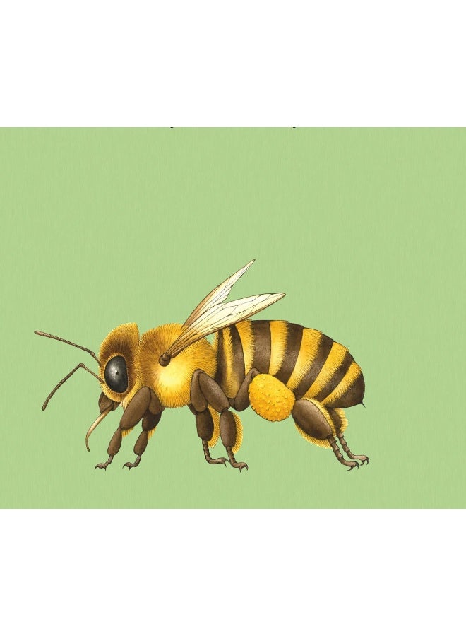 Build-a-Bug - Image 5