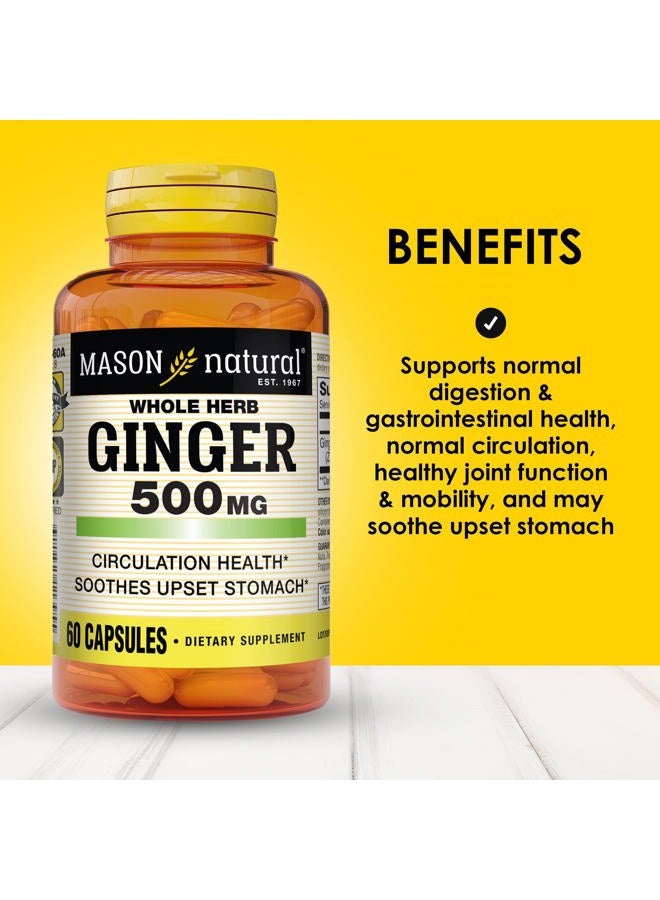 Mason Natural Whole Herb Ginger 500 mg, 2 Month Supply, Natural Herbal Supplement, 60 Capsules - Image 2