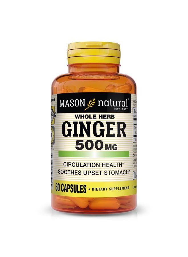 Mason Natural Whole Herb Ginger 500 mg, 2 Month Supply, Natural Herbal Supplement, 60 Capsules - Image 1