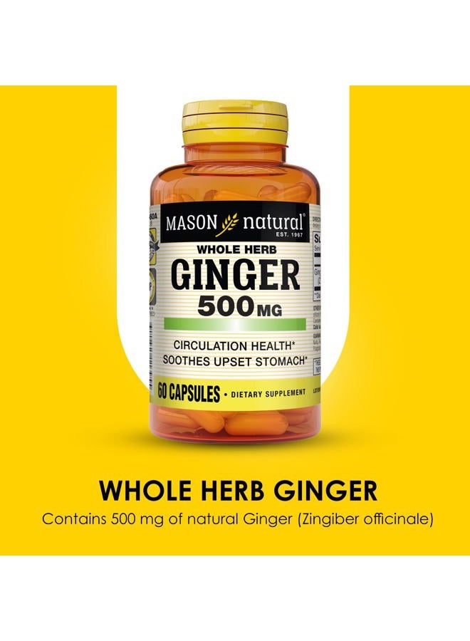 Mason Natural Whole Herb Ginger 500 mg, 2 Month Supply, Natural Herbal Supplement, 60 Capsules - Image 4