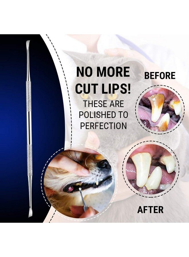 Majestic Bombay Pet Teeth Cleaning Tools  6.5 Inch Double Header Tarter & Plaque Remover Tool For Cats And Dogs. Stainless Steel That Will Not Rust. By Majestic Bombay - Image 2