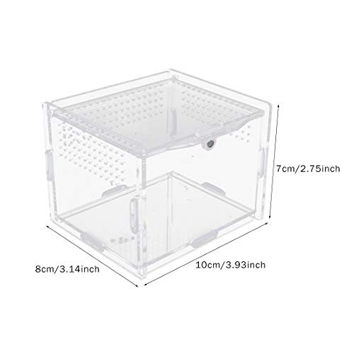 Apol Acrylic Reptile Feeding Box,Reptile Terrarium Transparent Breeding Box Tarantula Enclosure with 2 Straight and Curved Tweezer for Pet Insect Spider Cricket Snail Hermit Crab Lizard,7.9x4.7x4.7inch - Image 3