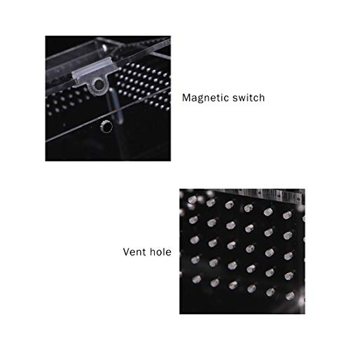 Apol Acrylic Reptile Feeding Box,Reptile Terrarium Transparent Breeding Box Tarantula Enclosure with 2 Straight and Curved Tweezer for Pet Insect Spider Cricket Snail Hermit Crab Lizard,7.9x4.7x4.7inch - Image 5