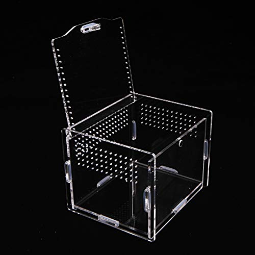 Apol Acrylic Reptile Feeding Box,Reptile Terrarium Transparent Breeding Box Tarantula Enclosure with 2 Straight and Curved Tweezer for Pet Insect Spider Cricket Snail Hermit Crab Lizard,7.9x4.7x4.7inch - Image 4