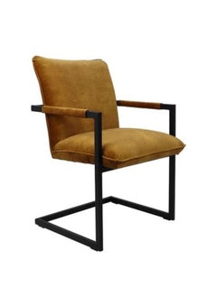 Generic dinning chair 