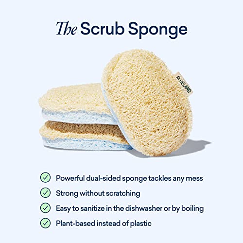 BLUELAND Scrub Sponge, 3-Pack, Dual-Sided Dish Loofah, Plastic-Free, Plant-Based Kitchen Scrubbing Non-Scratch - Image 3