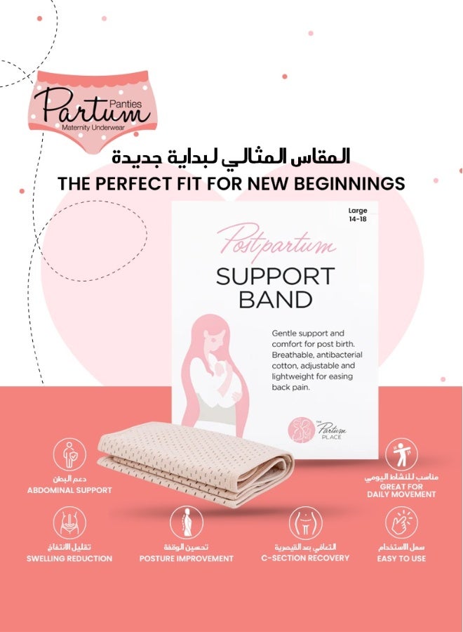 Partum Panties Postpartum Support Band Adjustable Pelvic & Abdominal Support Comfortable Compression for Recovery Breathable Mesh & Elastic Fabric Large Nude  - Image 2
