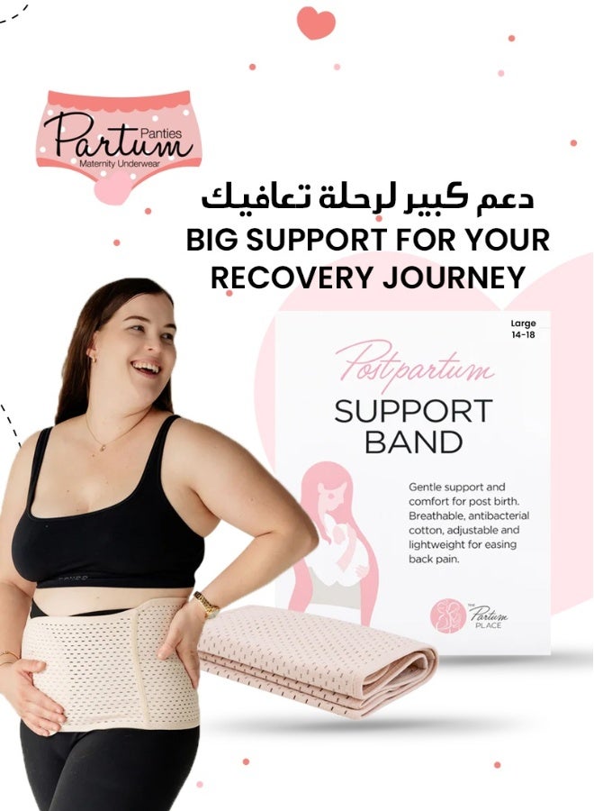 Partum Panties Postpartum Support Band Adjustable Pelvic & Abdominal Support Comfortable Compression for Recovery Breathable Mesh & Elastic Fabric Large Nude  - Image 3