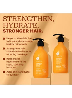 L LUSETA Luseta Shampoo And Conditioner Set For Hair Growth With Turmeric & Collagen Hair Thickening Volumizing Shampoo For Thin Or Oil Hair Sulfate And Parabens Free 2X16.9Oz  - Image 4