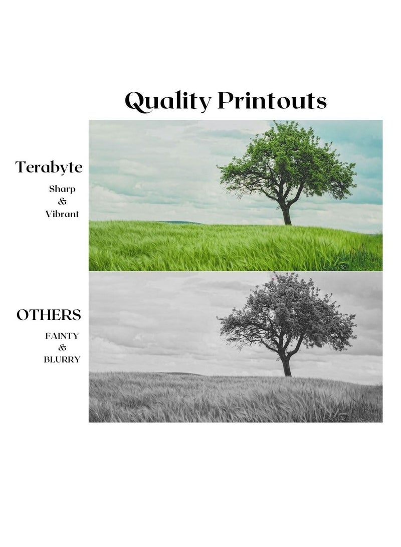 Terabyte TN2010 COMPATIBLE TONER BLACK - Image 4