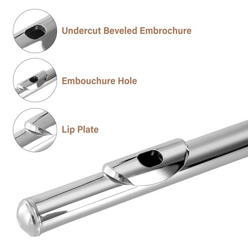 Cecilio Closed Hole C Flute - Musical Instrument, Beginner/Intermediate Flute in Band & Orchestra, Nickel - Image 2
