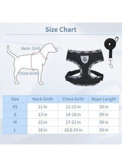 BINGPET Adjustable Dog Vest Harness and Leash Set,No Pull & No Choke Reflective Dog Harness with Padded,Lightweight All Weather Step-in Mesh Breathable Vest Harness for Small and Medium Dogs(Black,M)  - Image 4