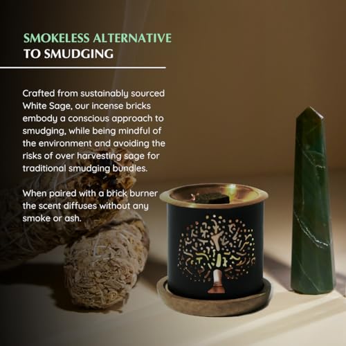 Aromafume Californian White Sage Smokeless Incense Bricks by Aromafume | 3 Trays x 9 Bricks | Refill Pack | Sage Incense for Positivity, Festive Gift | Sage Leave Extracts for Cleasing Home - Image 5