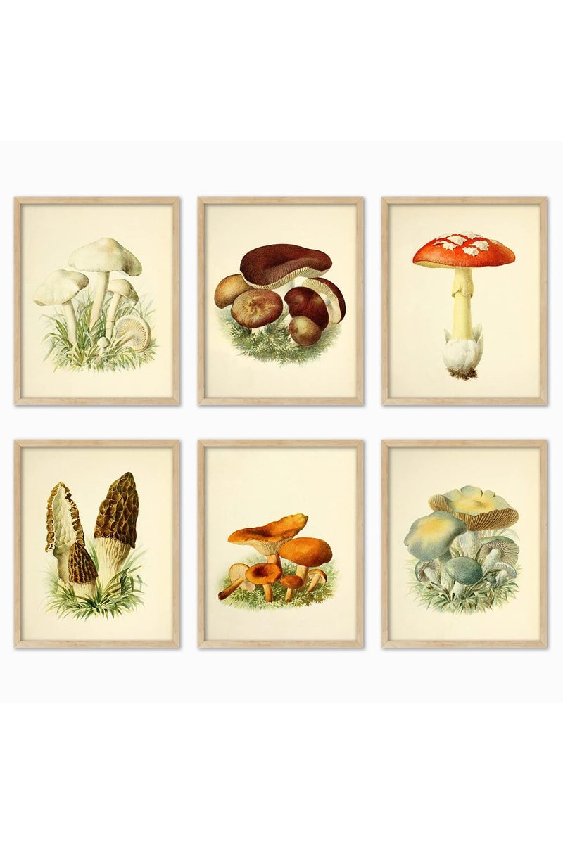 LIYAOLI Vintage Mushroom Botanical Wall Art Prints Posters for Room Aesthetic, 11 x 14 Inch Unframed Plant Poster Set of 6 Mushroom Cottagecore Room Decor Bedroom Teen Girl Living room Wall Decor - Image 1