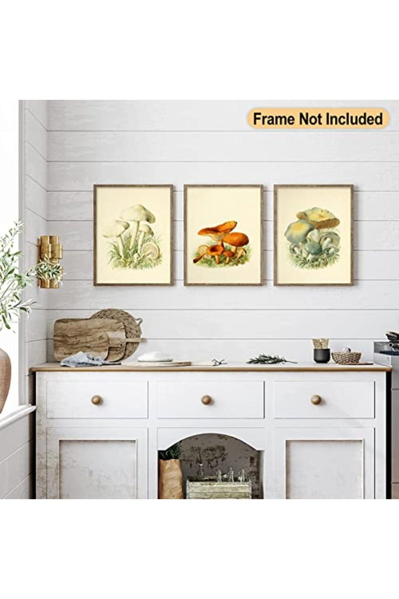 LIYAOLI Vintage Mushroom Botanical Wall Art Prints Posters for Room Aesthetic, 11 x 14 Inch Unframed Plant Poster Set of 6 Mushroom Cottagecore Room Decor Bedroom Teen Girl Living room Wall Decor - Image 4