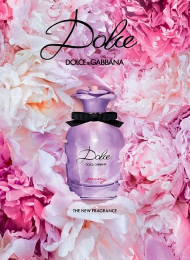 دولتشي آند غابانا ماء عطر بيوني 75ملليلتر - Image 4
