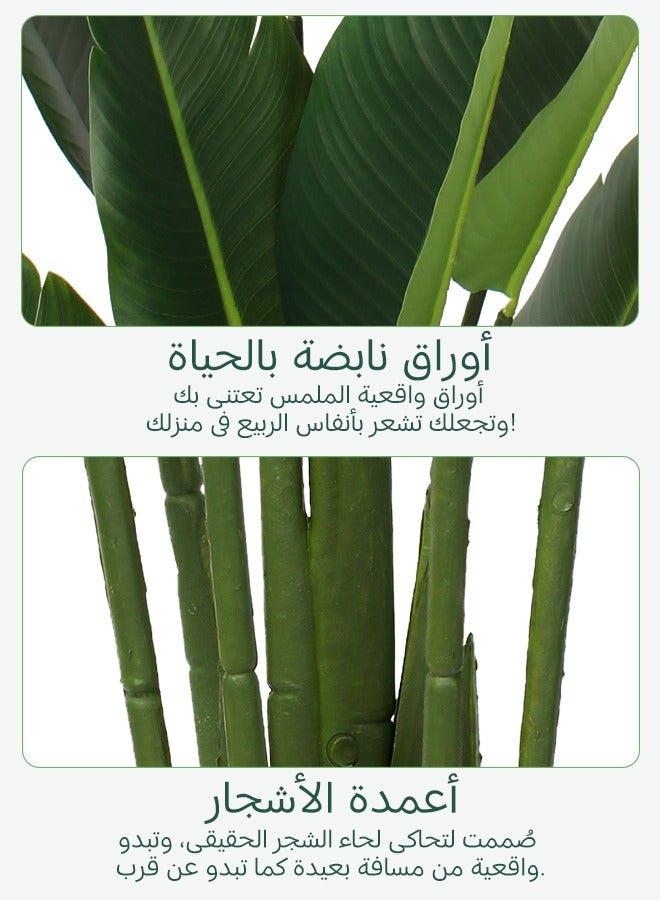 Generic yepdin Artificial Bird of Paradise Plant 180 cm Tall Fake Banana Leaf Plant for Indoors and Outdoors,Faux Palm Tree with Plastic Pot for Office and Home Decor  - Image 5