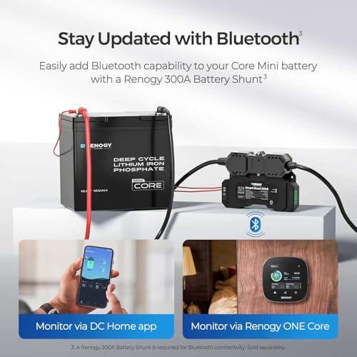 Renogy 2PCS 12V 100Ah Mini Size LiFePO4 Lithium Battery, 100A BMS for Ultimate Safety, Deep Cycle Remote Monitoring, Backup for RV, Cabin, Marine, 200ah LiFePO4 Lithium Battery - Core Series - Image 4