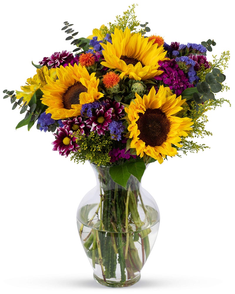 Benchmark Bouquets Flowering Fields, Glass Vase Included, Gift Fresh Flowers for Birthday, Anniversary, Get Well, Sympathy, Congratulations, Thank You, Just Because - Image 1