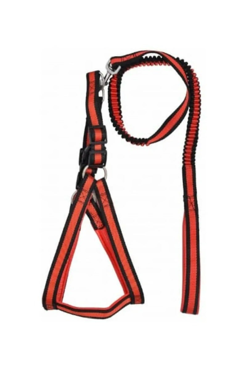 طقم حزام ورباط للحيوانات الأليفة باللون البرتقالي والأسود – مريح وقابل للتعديل للقطط والكلاب