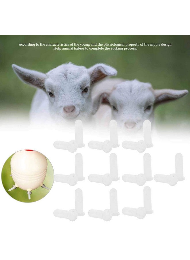 Zerodis 10pcs Lamb Feeding Nipple, Goats Sheep Cow Milk Bottle Bucket Nipple Replacement Soft Gel Pacifier - Image 2