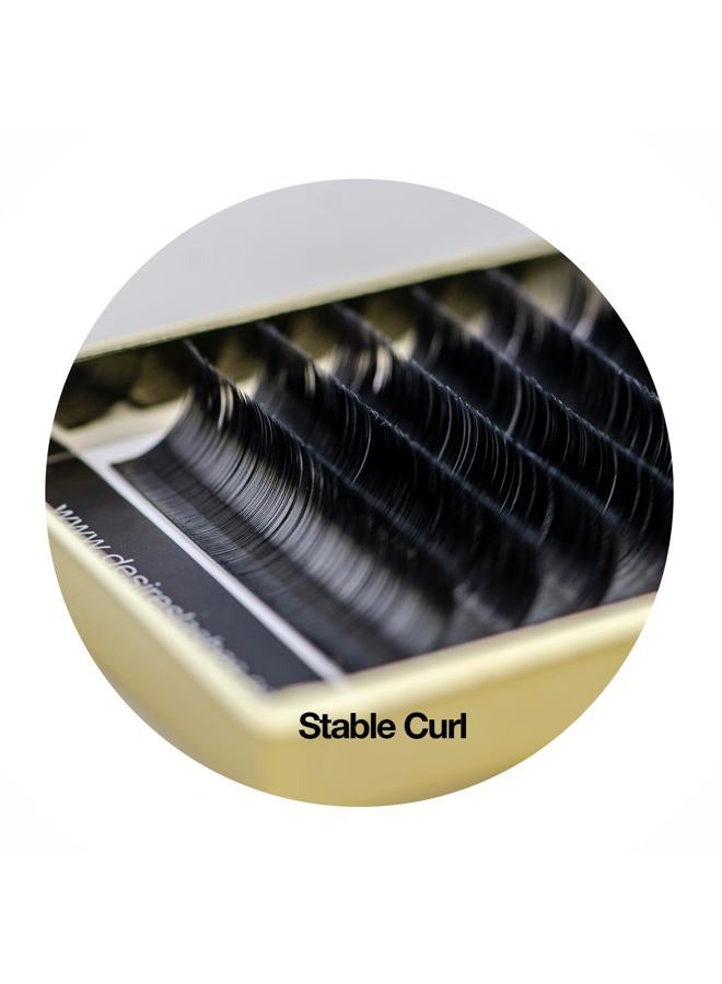 EMILYSTORES DESIRES LASHES By EMILYSTORES Ellipse Lashes Flat 0.20mm Thickness D Curl Length 17mm Lashes Extensions Single Size For eyelash Extension(Ellipse,Flat0.20,D,17mm) - Image 5