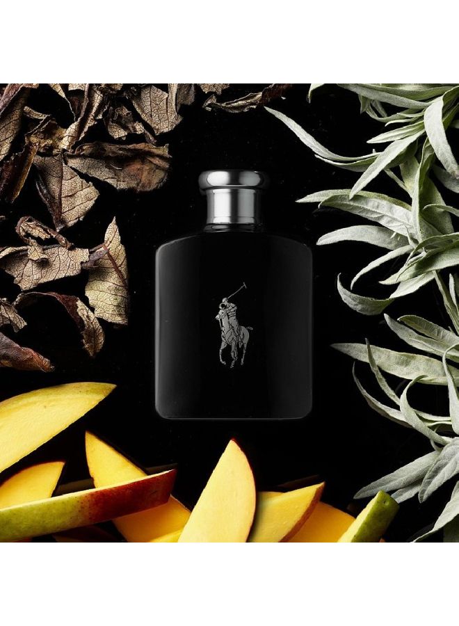 رالف لورين عطر بولو بلاك 125ملليلتر - Image 5