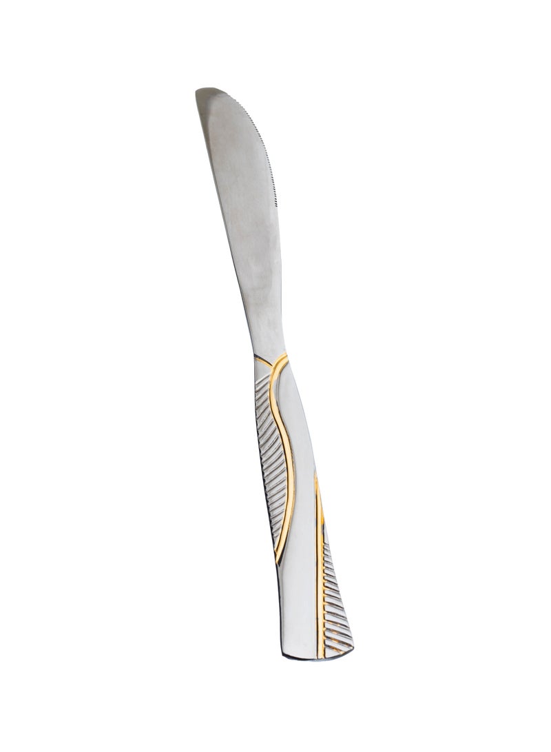 Hic Stainless steel dinner knife with golden style 6 pieces  - Image 2