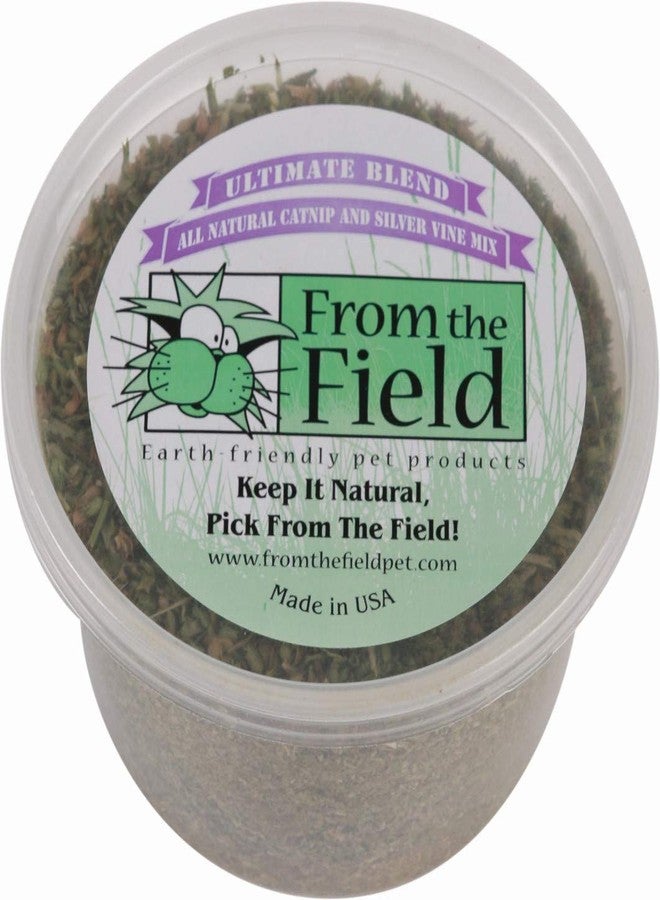 from The Field | Ultimate Blend Catnip & Silver Vine | Premium USA-Grown Catnip for Toys & Playtime | Fresh, Potent, Non-Toxic, Eco-Friendly | Safe for Kittens & Cats | Resealable 2 Oz Tub - Image 1