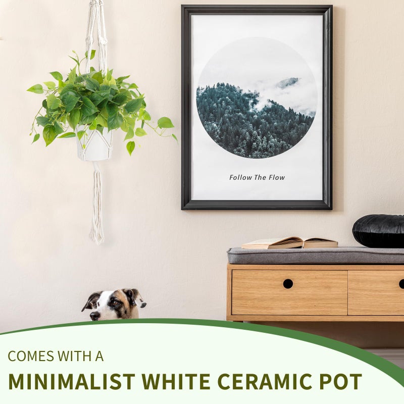 JPSOR Faux Plants Indoor, Pothos Small Fake Plants for Home Decor Indoor Fake Potted Plant Artificial Plants for Living Room Shelf Home Office Decorï¼ˆWhite Ceramic Potï¼‰ - Image 4
