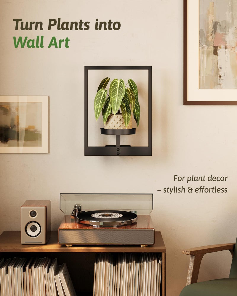 GENTINGBRO Wall Plant Holder Wall Planters for Indoor Plants Plant Wall Shelf Plant Hanger Indoor Hanging Plant Holder Plant Wall Hanger for Living Room Window Balcony - Image 2