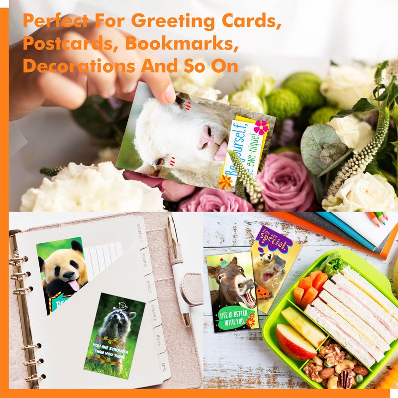Gethelud 200 PCS Fun Animal Motivational Cards, 60 Designs Encouragement Inspirational Cards Funny Note Card, Positive Affirmation Card for Students Adults Kids (2â€ x 3.5â€) - Image 5