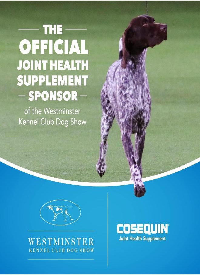 COSEQUIN - Nutramax Cosequin Maximum Strength Joint Health Supplement for Dogs - With Glucosamine, Chondroitin, and MSM, 132 Chewable Tablets - Image 1