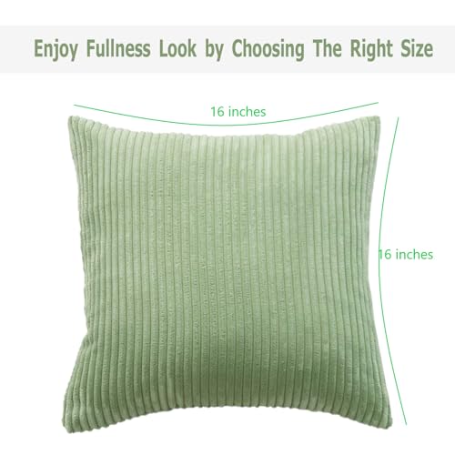 Guffaw / Corduroy/Stripped/Luxury Cushion Covers Standard Size 16"X16" Inches (Sage Green, 2), 340 TC - Image 4