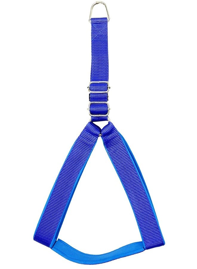 VIPCOLLECTION VIP Collection Combo of Dog Harness tainless Steel Choke Collar with Comfortable Rope Leash Comfortable for Walking Running Training (Extra Large, Blue) - Image 4